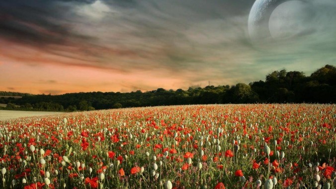 搞了NAS之后去哪里下载4K，8K的电影？ 